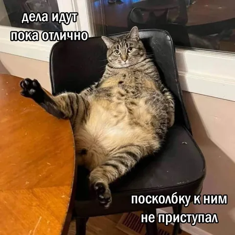 Дела идут отлично