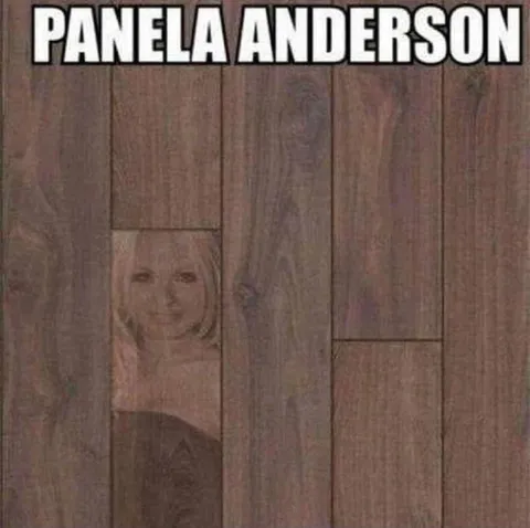 Pamela Anderson Hiding Behind Panels