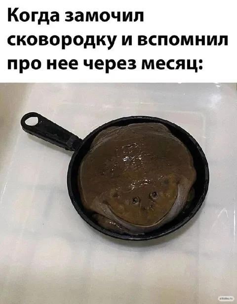 Сковородка через месяц