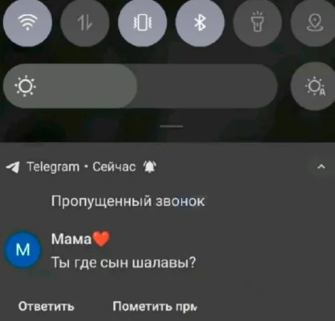 Мама спрашивает, где сын