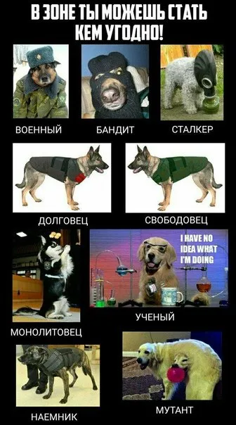 В зоне ты можешь стать кем угодно