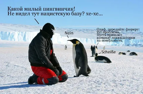Пингвинчик и нацистская база
