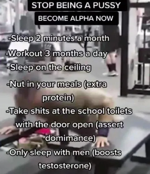 Stop Being a Pussy Alpha Training