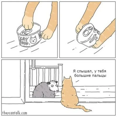 Большие пальцы у кота