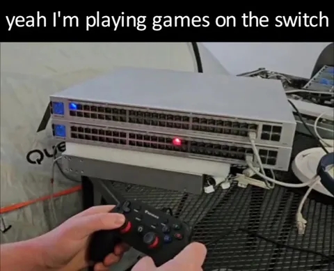 Playing games on the switch