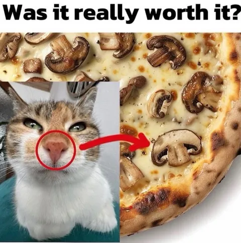 Was It Really Worth It?