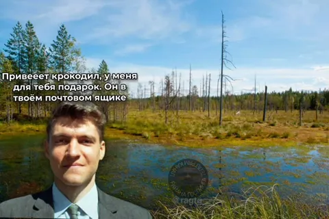 Подарок в почтовом ящике
