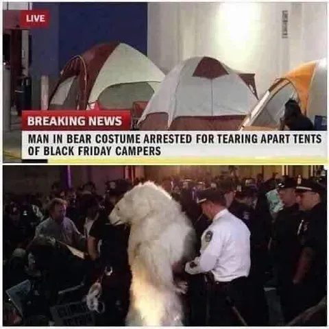 Bear Costume Black Friday Arrest
