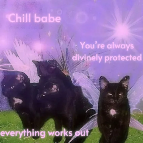 Chill Babe Protected Cats
