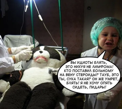 Панда возмущена лечением