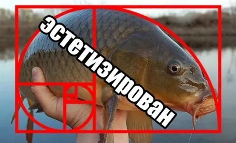 Эстетизированный карп