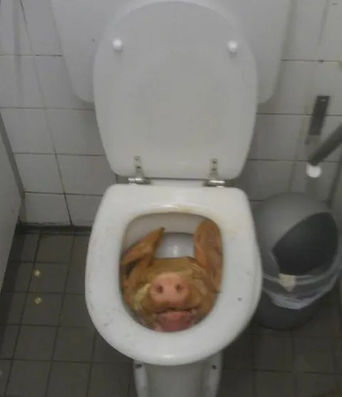 Тарас в унитазе