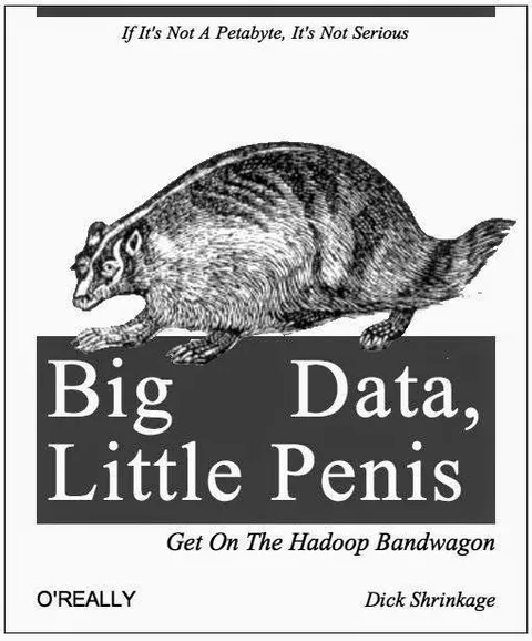 Big Data Little Penis