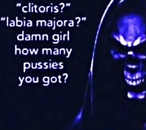 How Many Pussies You Got
