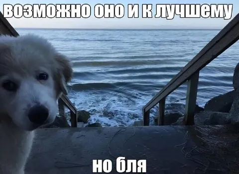 Возможно оно и к лучшему