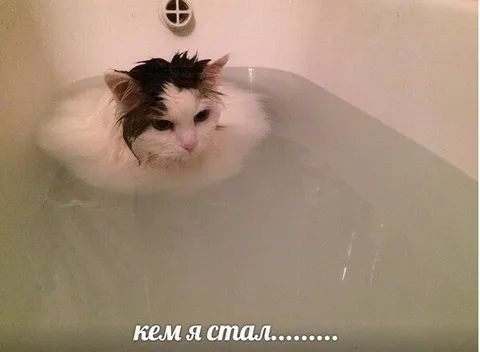 Кем я стал