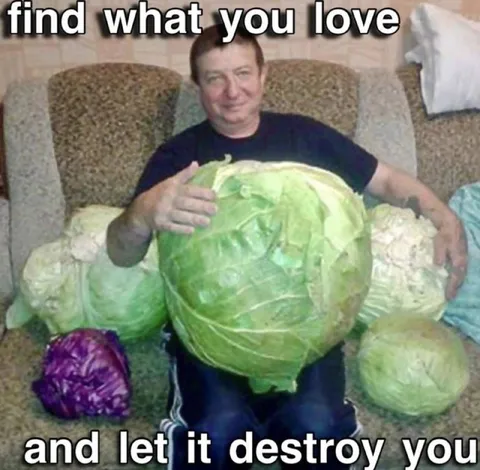 Find What You Love Cabbage