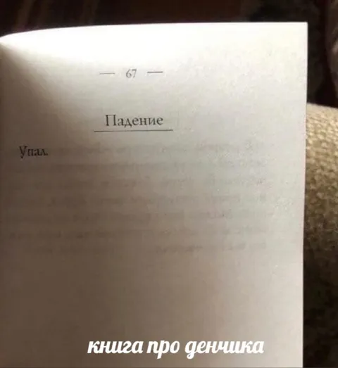 Книга про Денчика: падение