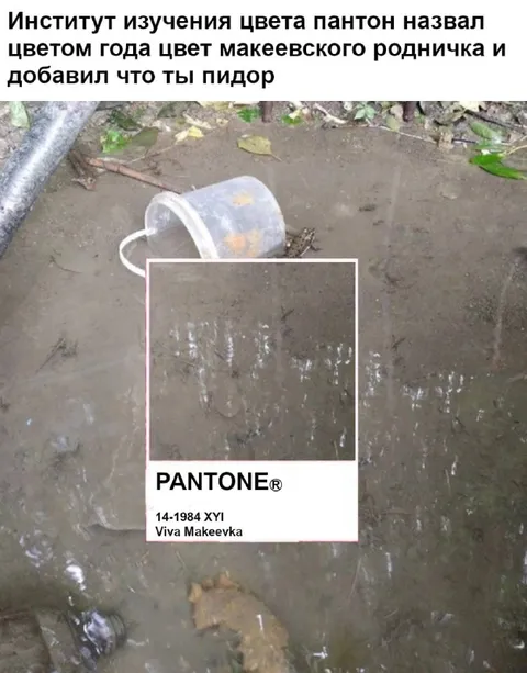 Цвет макеевского родничка