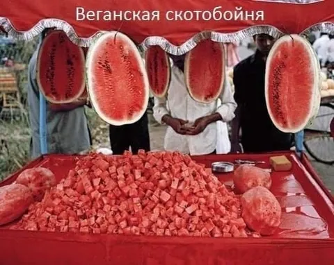 Веганская скотобойня с арбузами