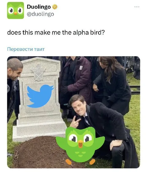Duolingo at Twitter’s Grave