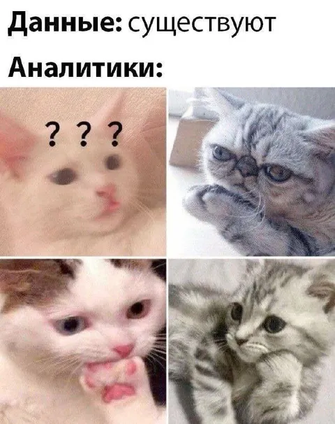 Аналитики пытаются понять данные