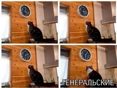 Генеральские часы для кота