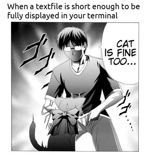 Cat Is Fine Too