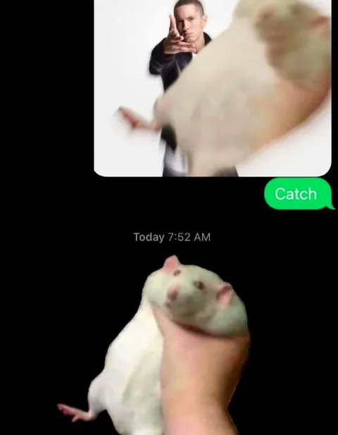 Catch the Rat