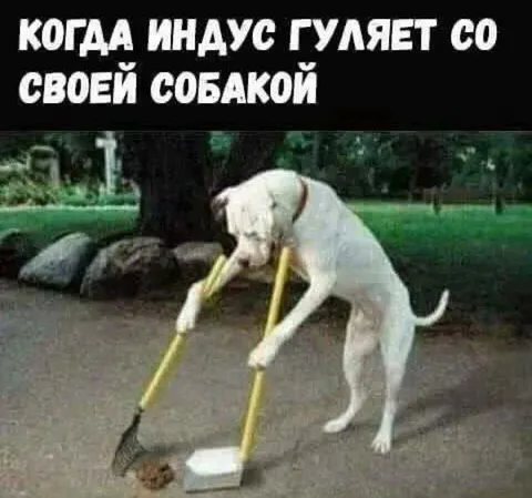 Индуc гуляет со своей собакой