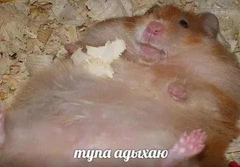 Тупа отдыхаю