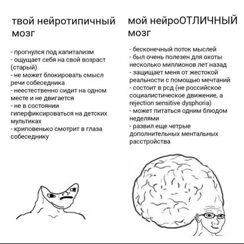 Твой нейротипичный мозг и мой нейроотличный мозг
