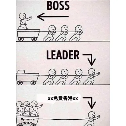 Boss, Leader and My Team