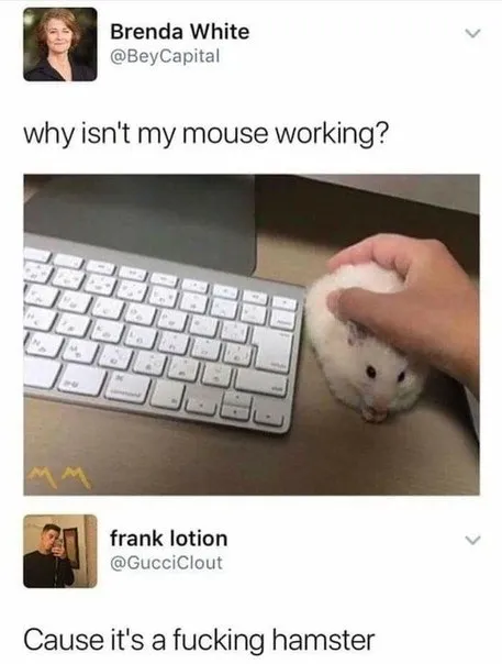 Why Isn't My Mouse Working?