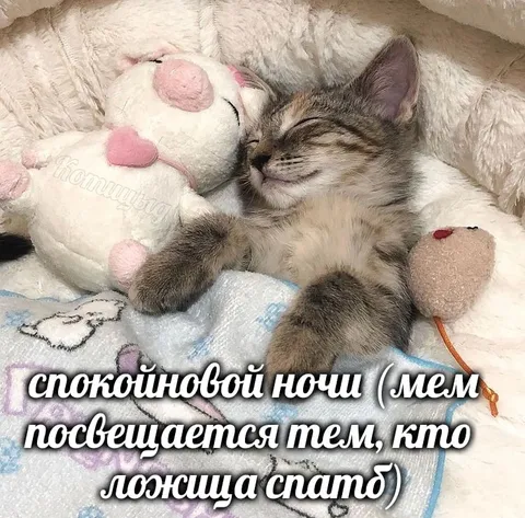 Спокойной ночи тем, кто спит