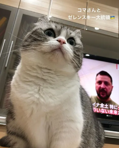 コマさんとゼレンスキー大統領