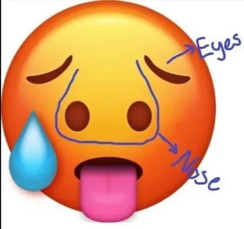 Sweaty Tongue-Out Emoji Anatomy