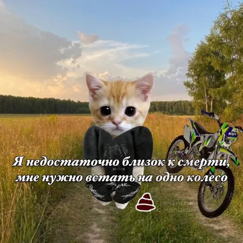 Кот недостаточно близок к смерти