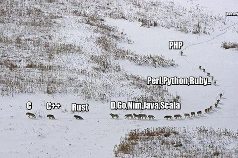 Programming Languages Migration