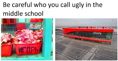Be Careful Who You Call Ugly