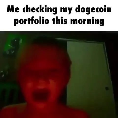Checking My Dogecoin Portfolio