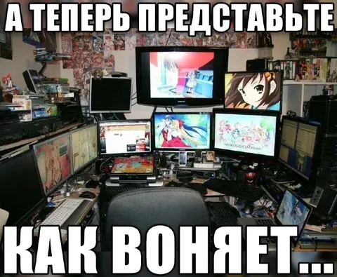А теперь представьте как воняет