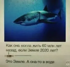 Как она жила 60 млн лет назад