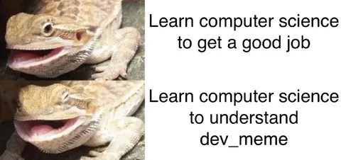 Learn Computer Science Meme