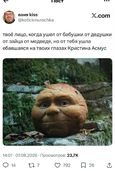 Лицо после ухода Кристины Асмус