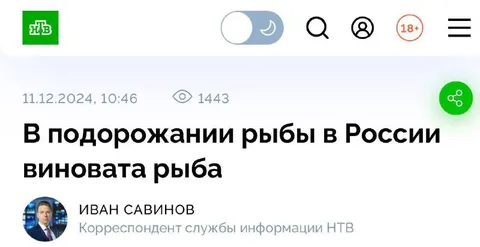 Виновата сама рыба
