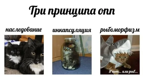 Три принципа ООП у котов