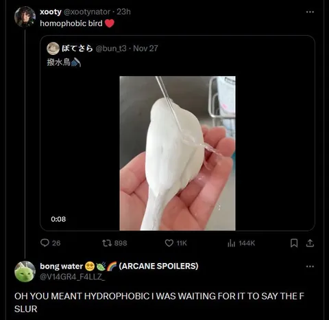 Homophobic Bird Correction Joke