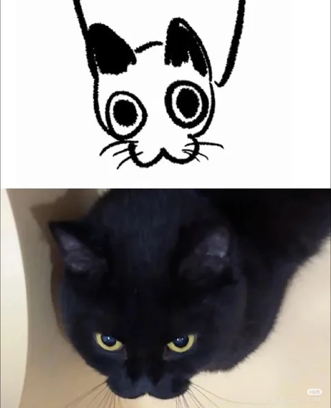 Нарисованный кот и настоящий кот
