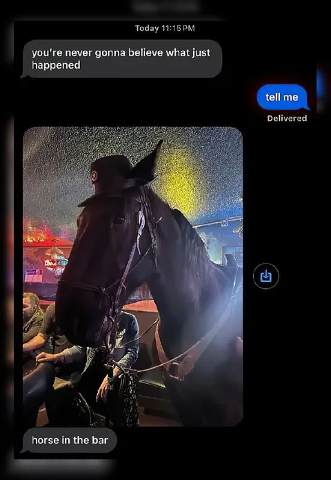 Horse in the Bar